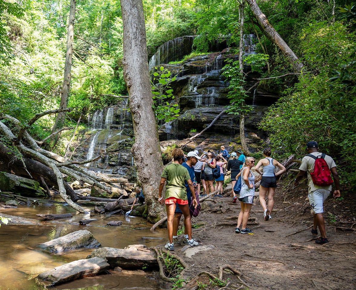 Yellow Branch Falls