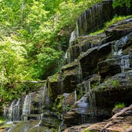 Yellow Branch Falls