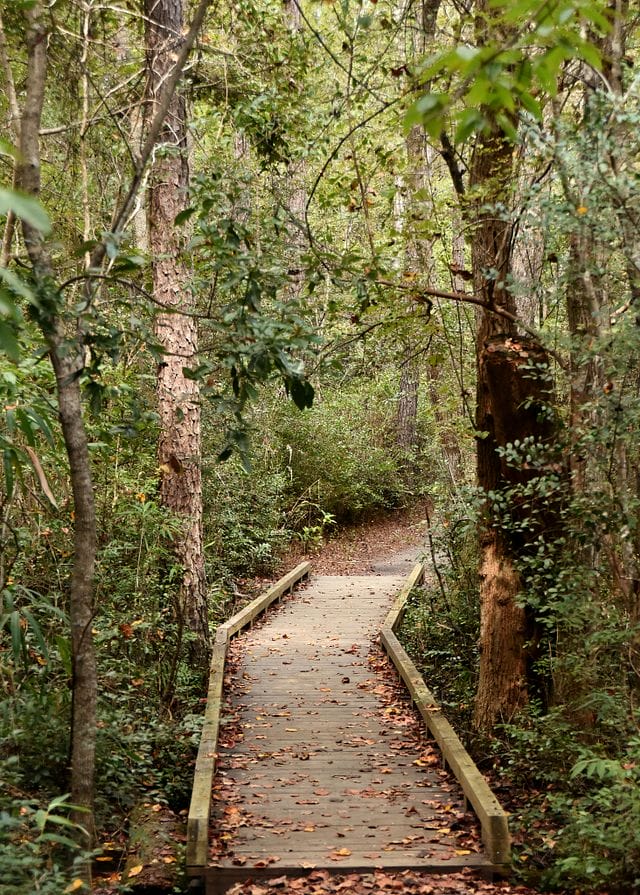 Sand Hills Trail
