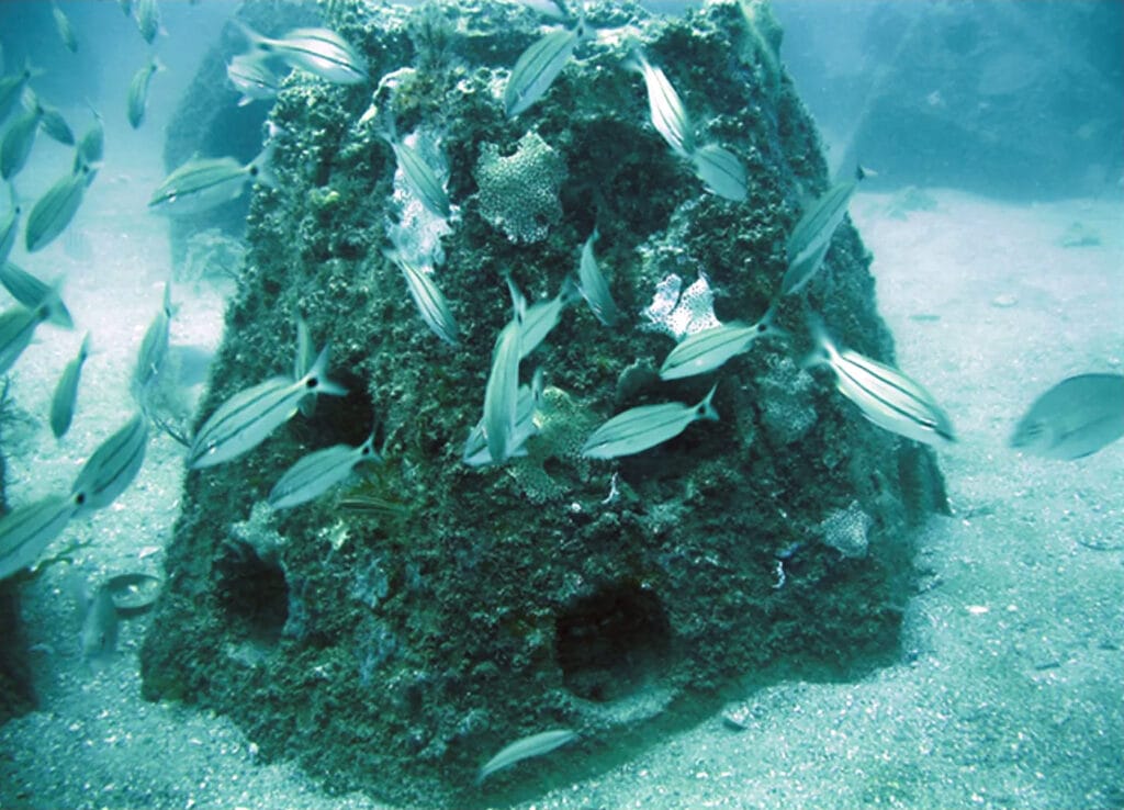Smart Reef