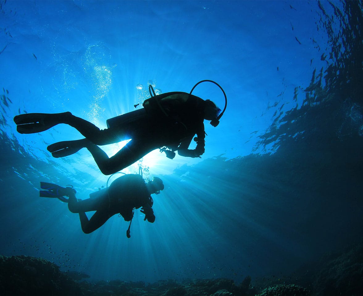Smart Reef Dive