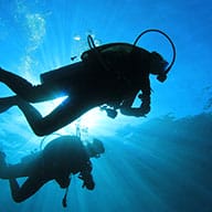 Smart Reef Dive