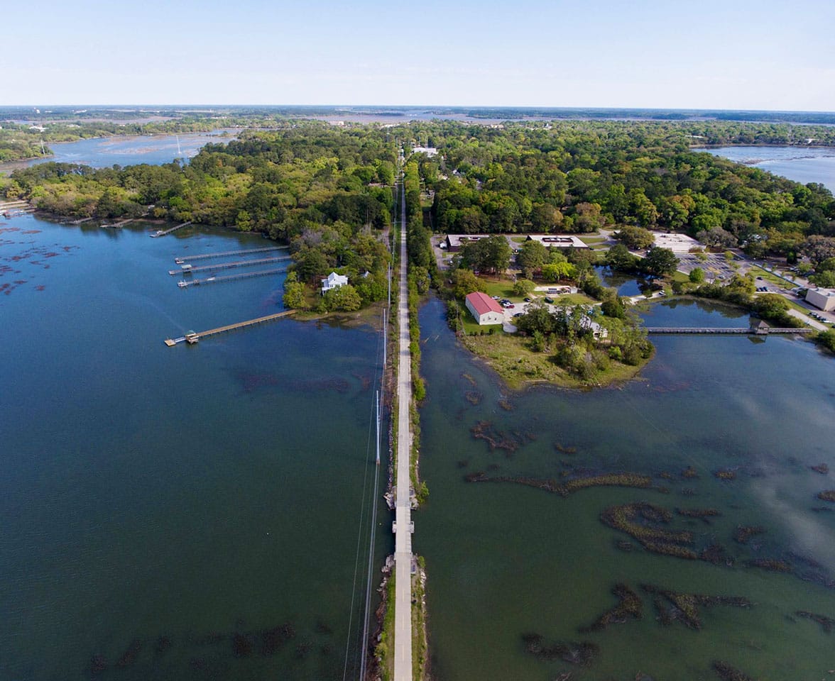 Spanish Moss Trail