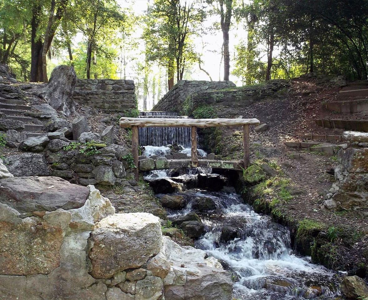 Poinsett State Park