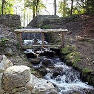 Poinsett State Park